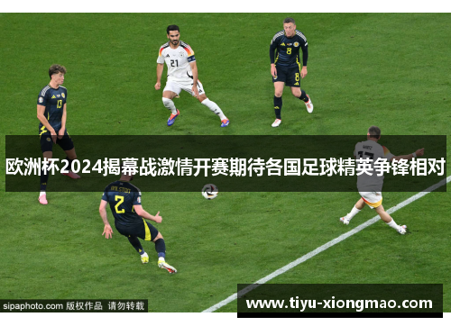 欧洲杯2024揭幕战激情开赛期待各国足球精英争锋相对