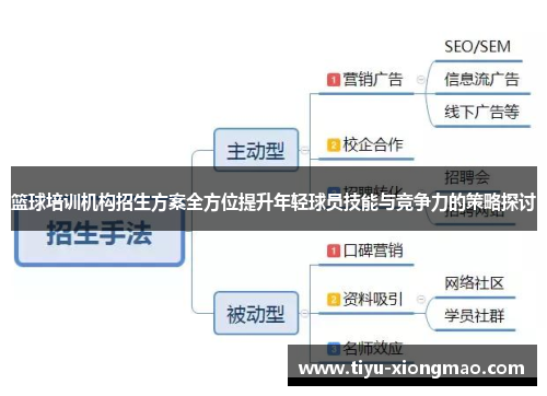 篮球培训机构招生方案全方位提升年轻球员技能与竞争力的策略探讨