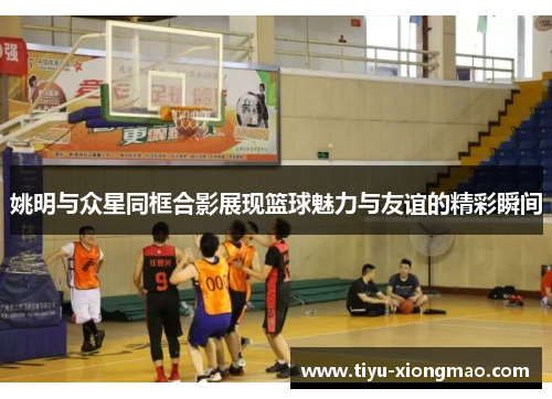 姚明与众星同框合影展现篮球魅力与友谊的精彩瞬间