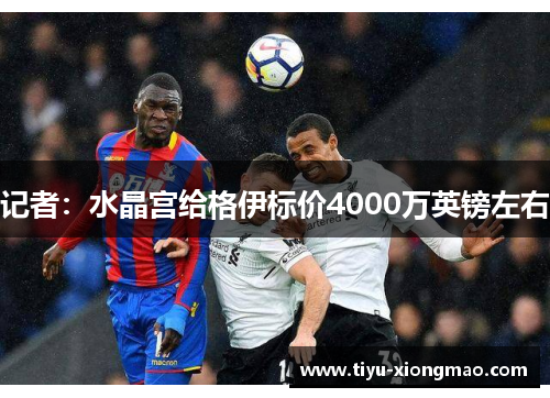记者：水晶宫给格伊标价4000万英镑左右